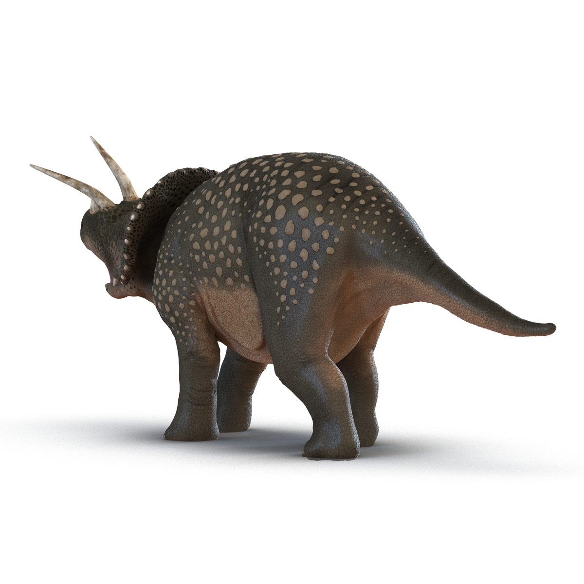 3D Triceratops Pose 2 model