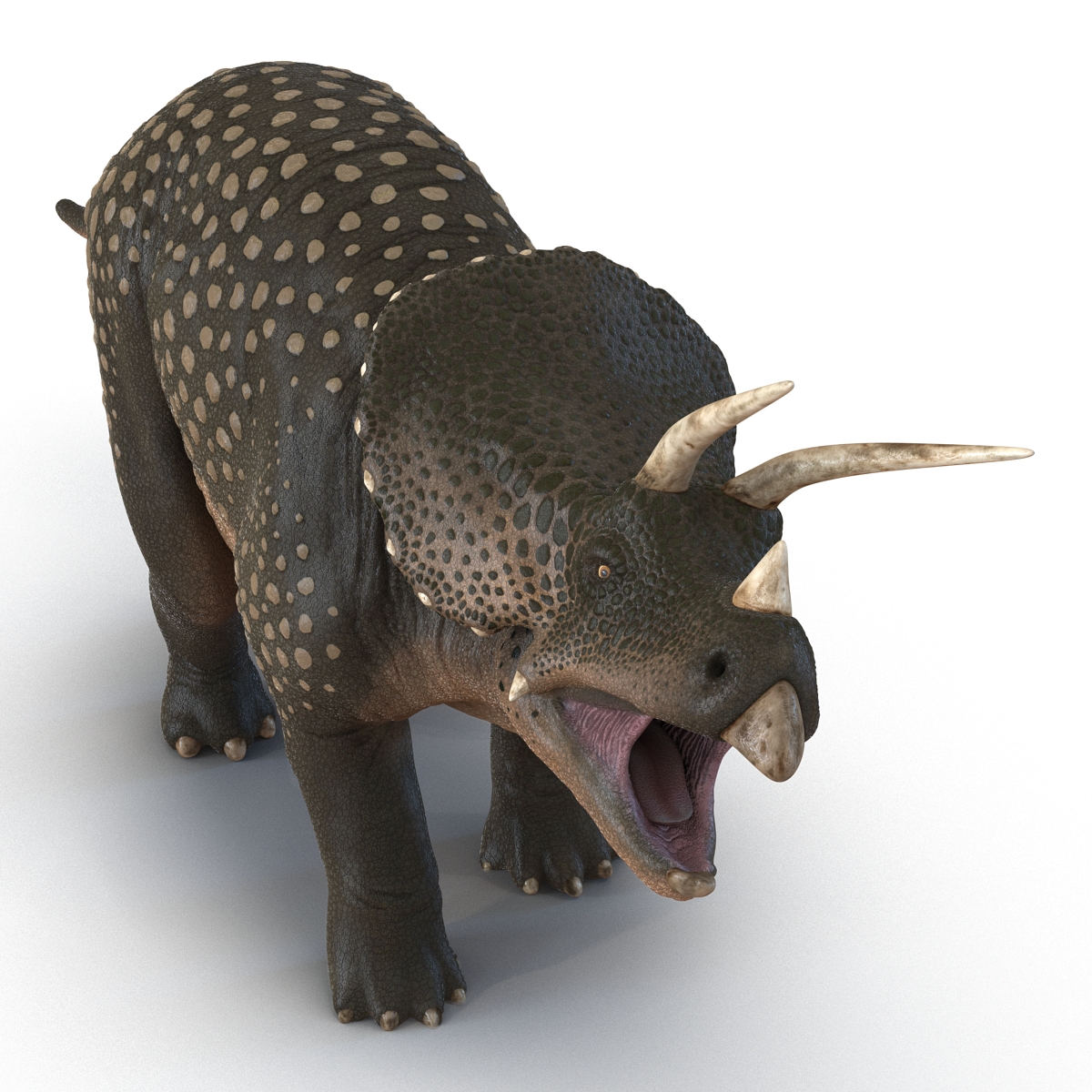 3D Triceratops Pose 2 model