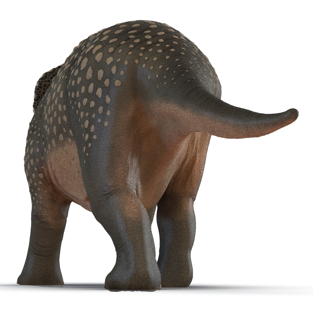 3D Triceratops Pose 3 model