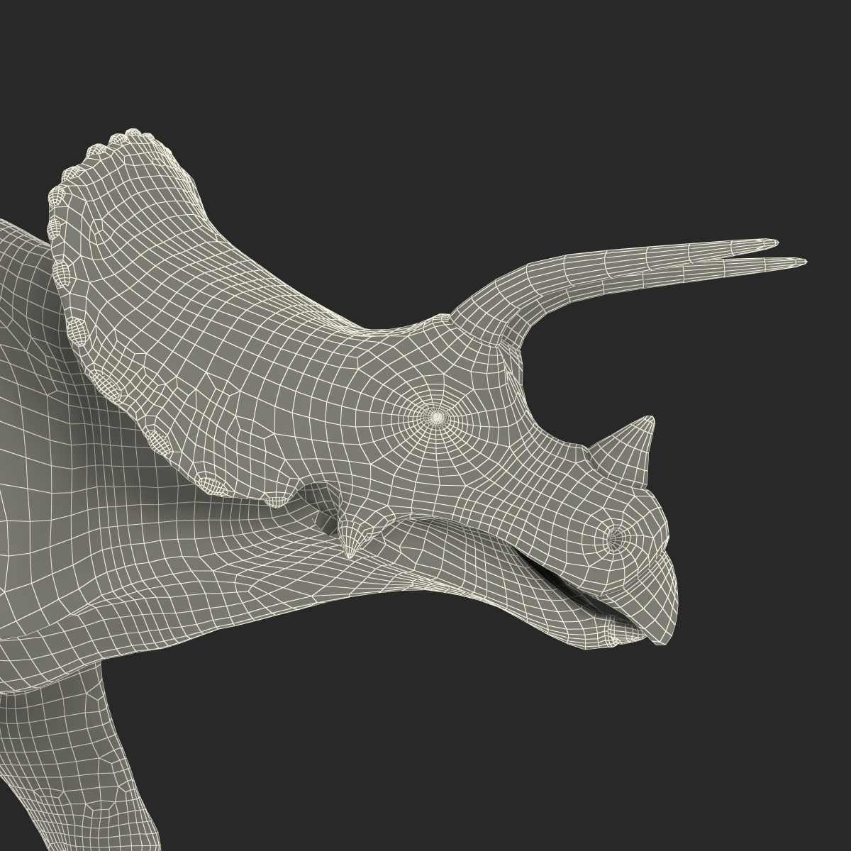 3D Triceratops Pose 3 model