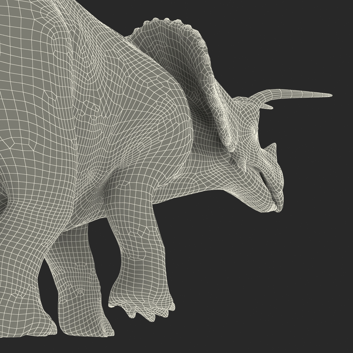 3D Triceratops Pose 3 model