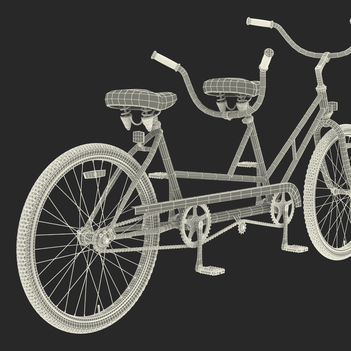 3D Bicycle Built for Two Rigged model