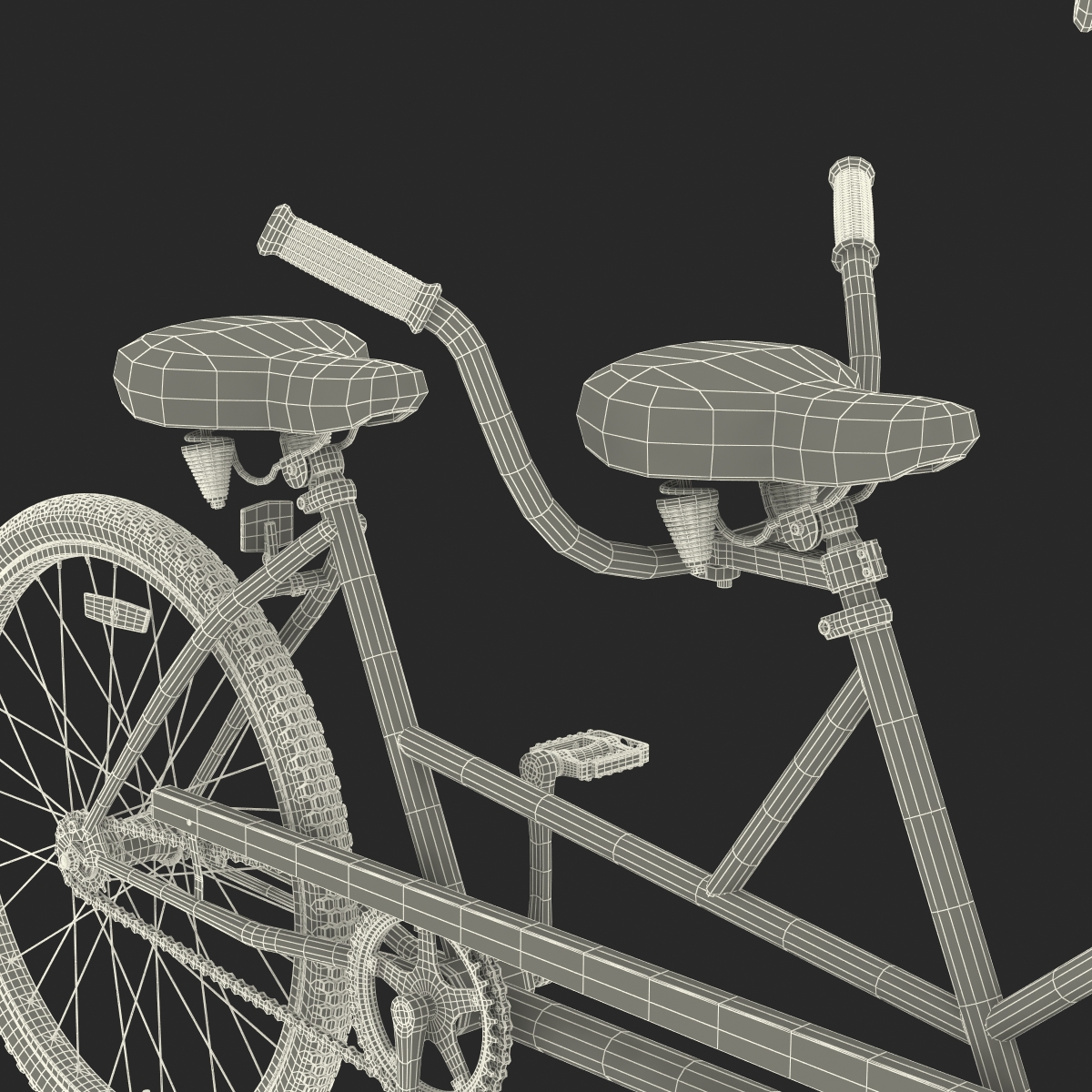 3D Bicycle Built for Two Rigged model