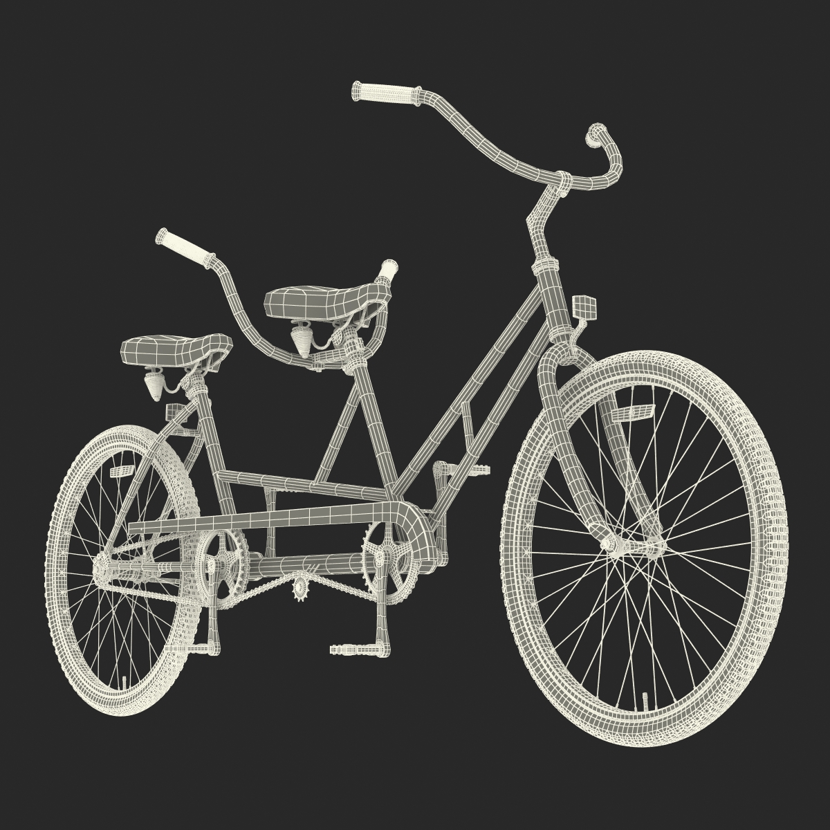 3D Bicycle Built for Two