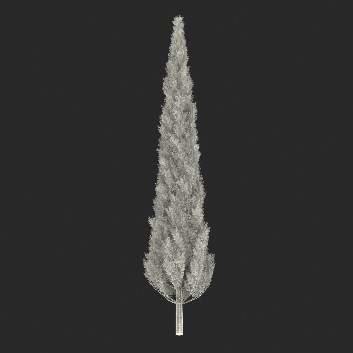 Cypress Tree 3 3D model