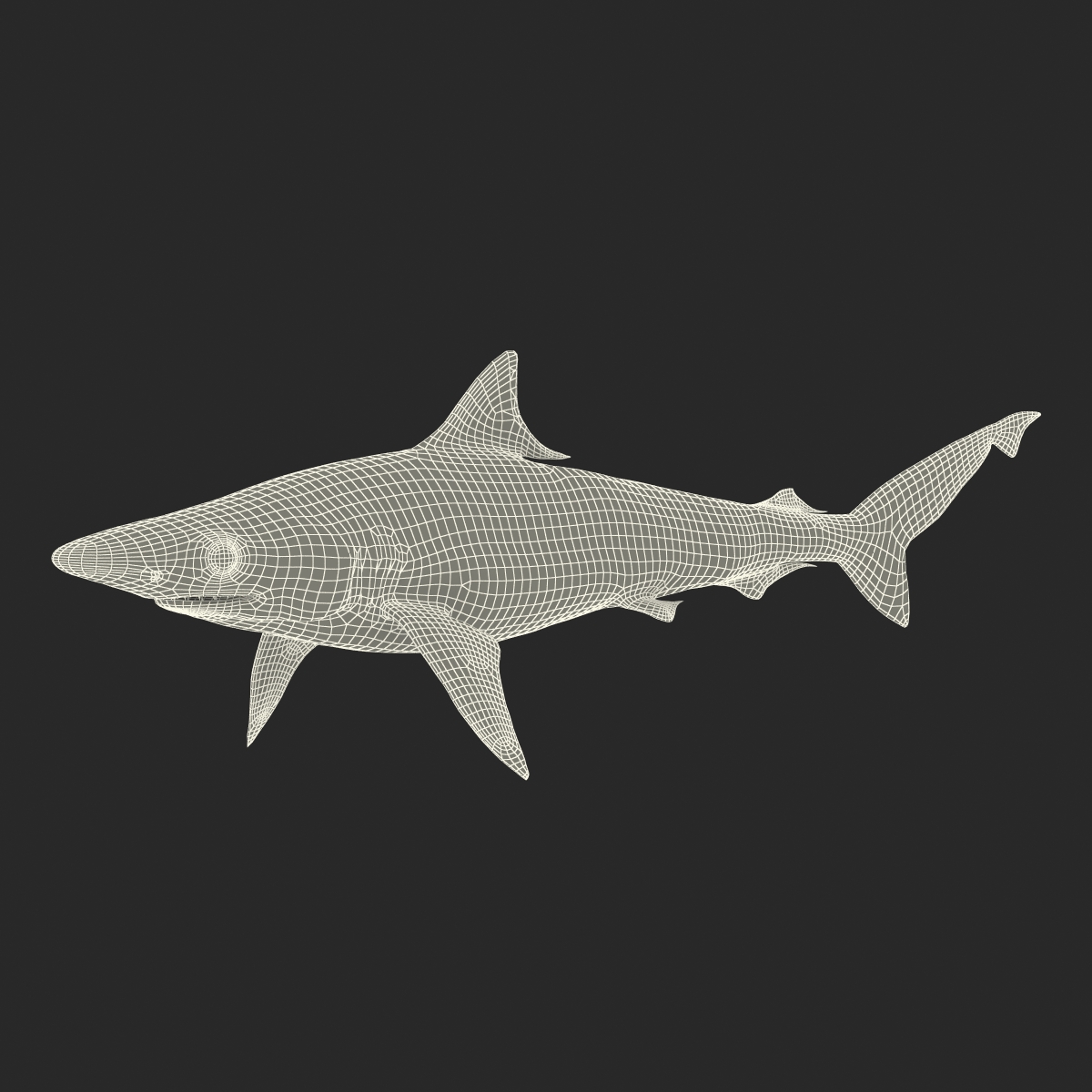 3D model Milk Shark