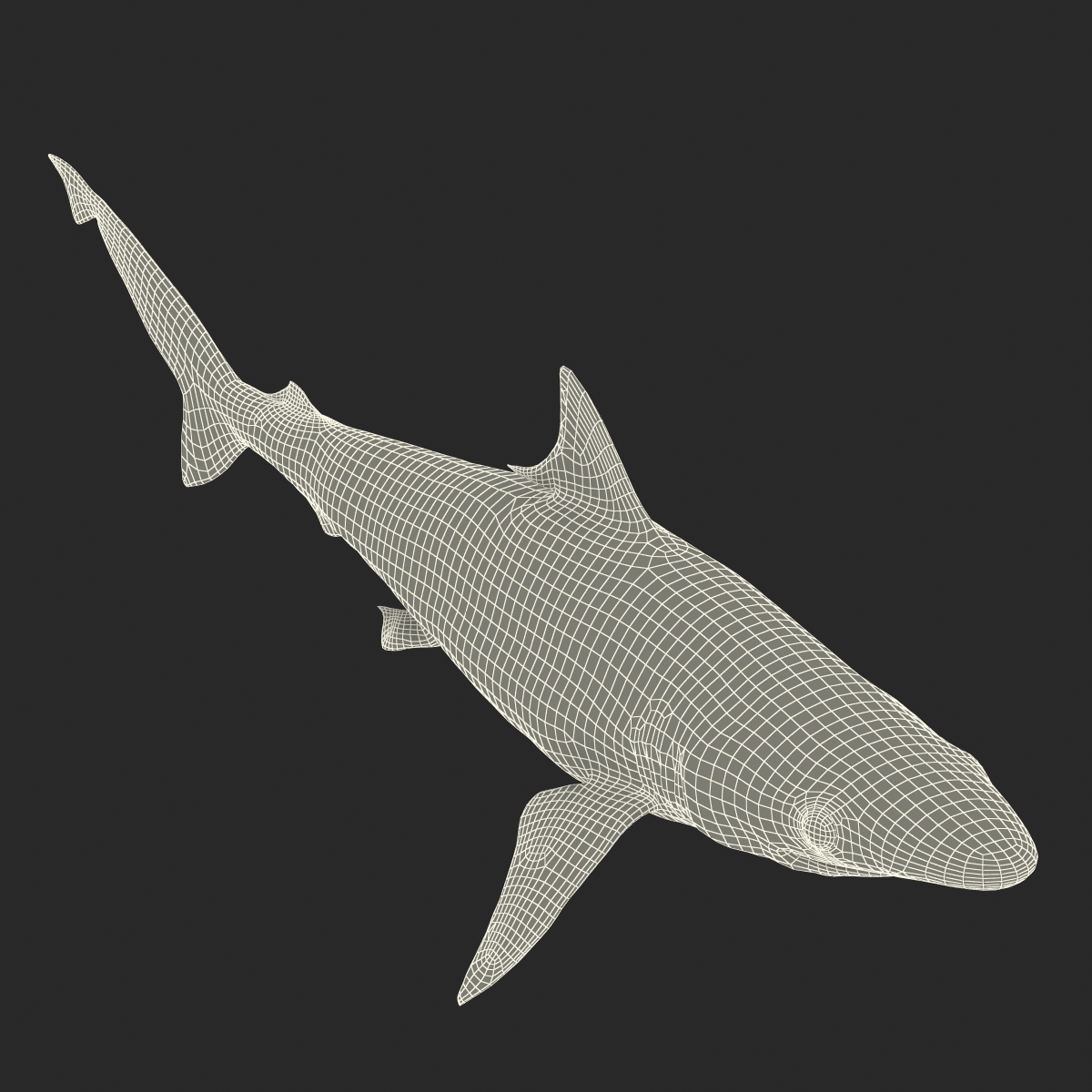 3D model Milk Shark