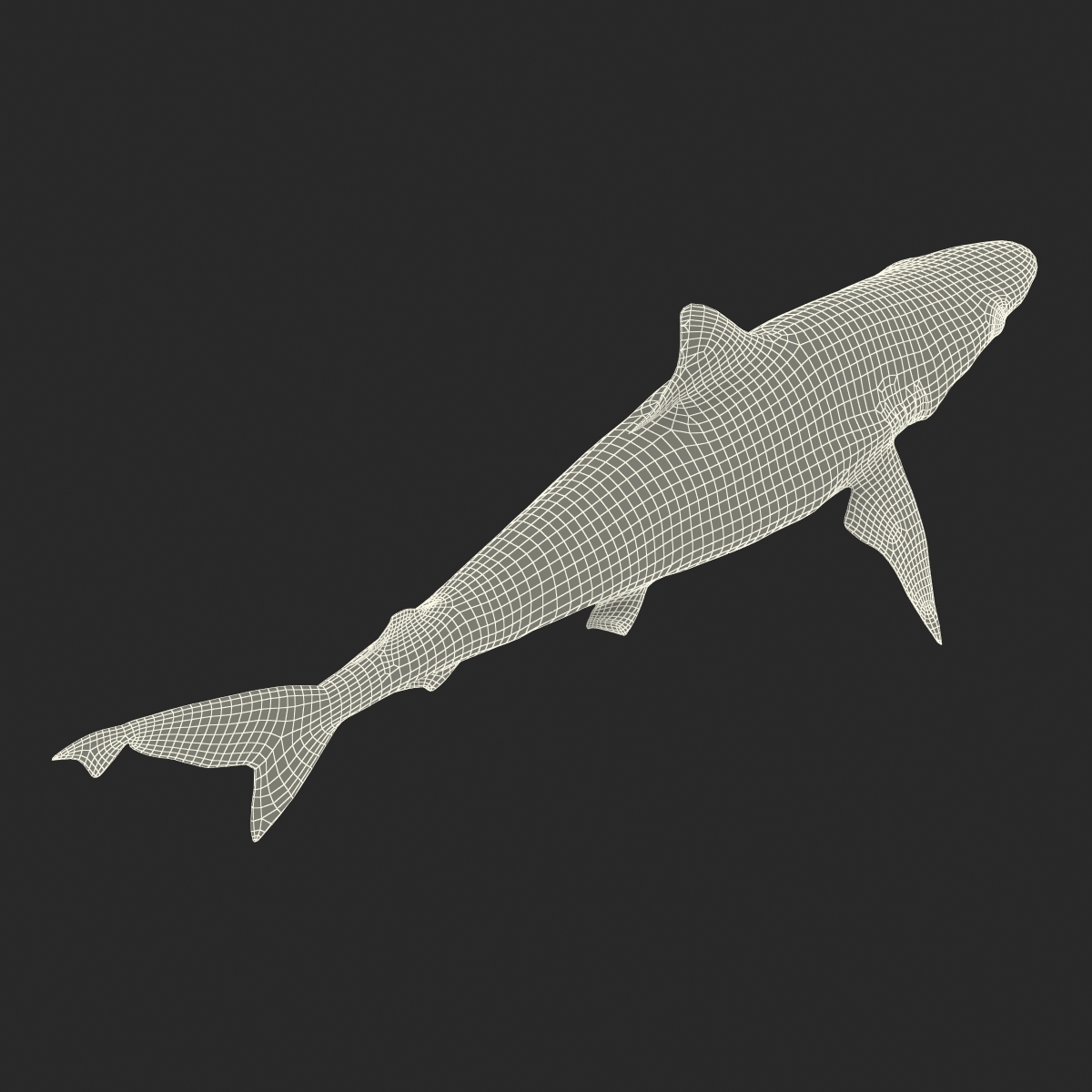 3D model Milk Shark