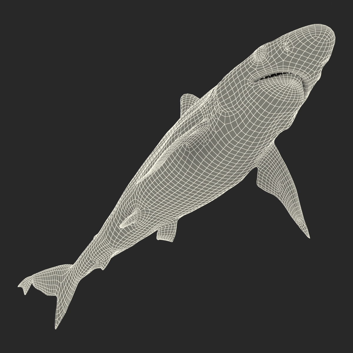 3D model Milk Shark