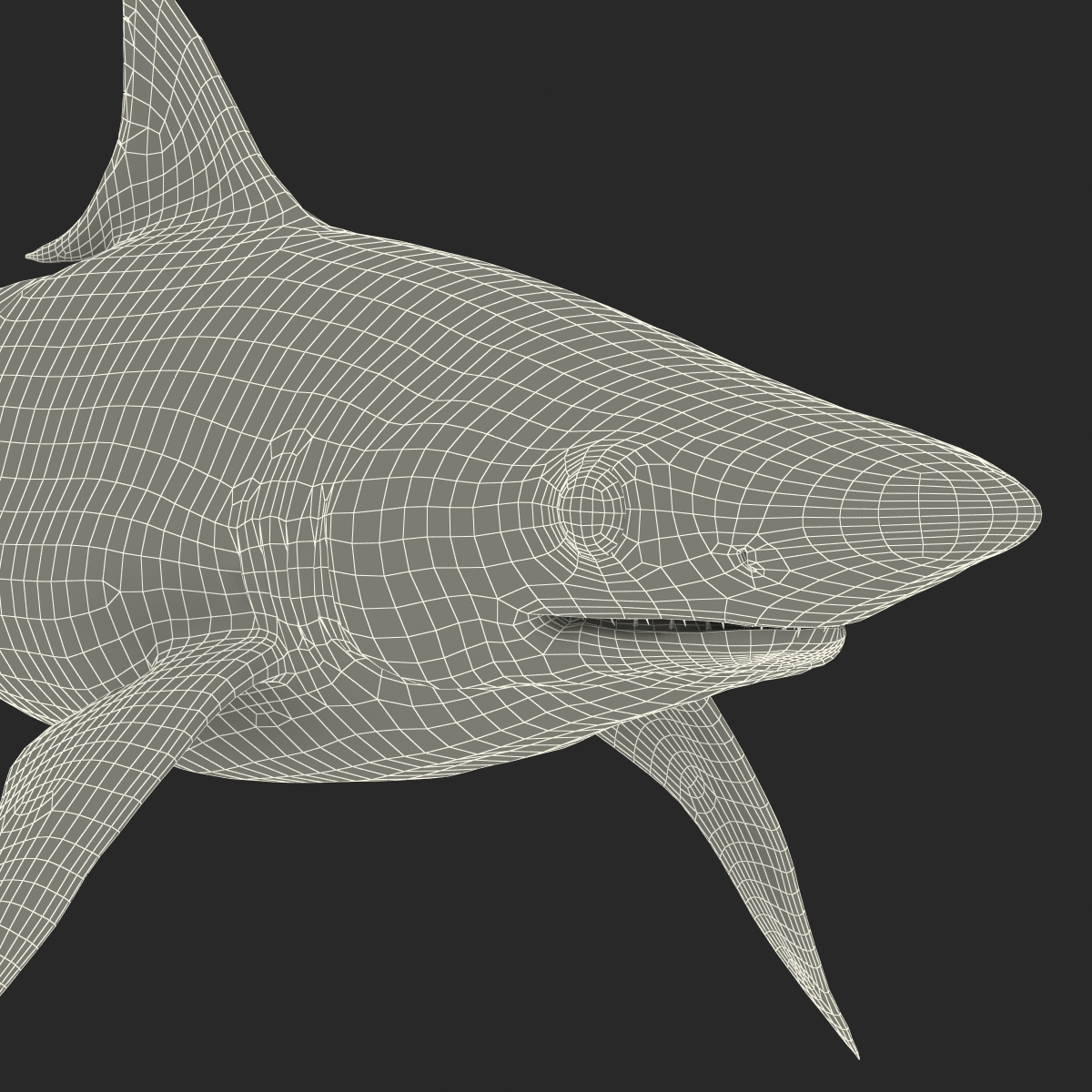 3D model Milk Shark