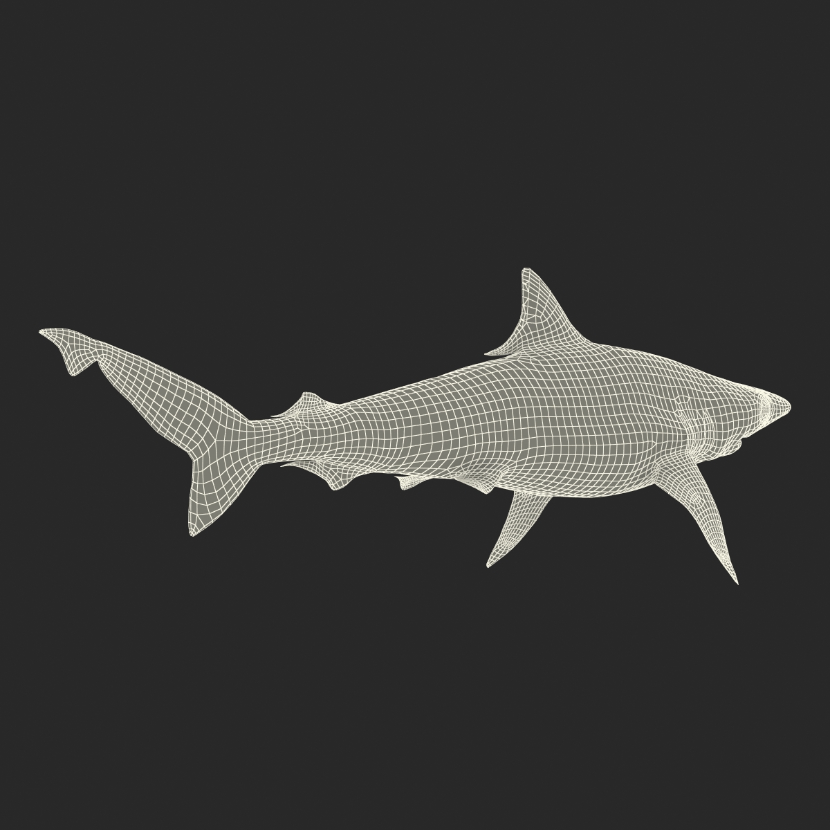 Milk Shark Rigged 3D