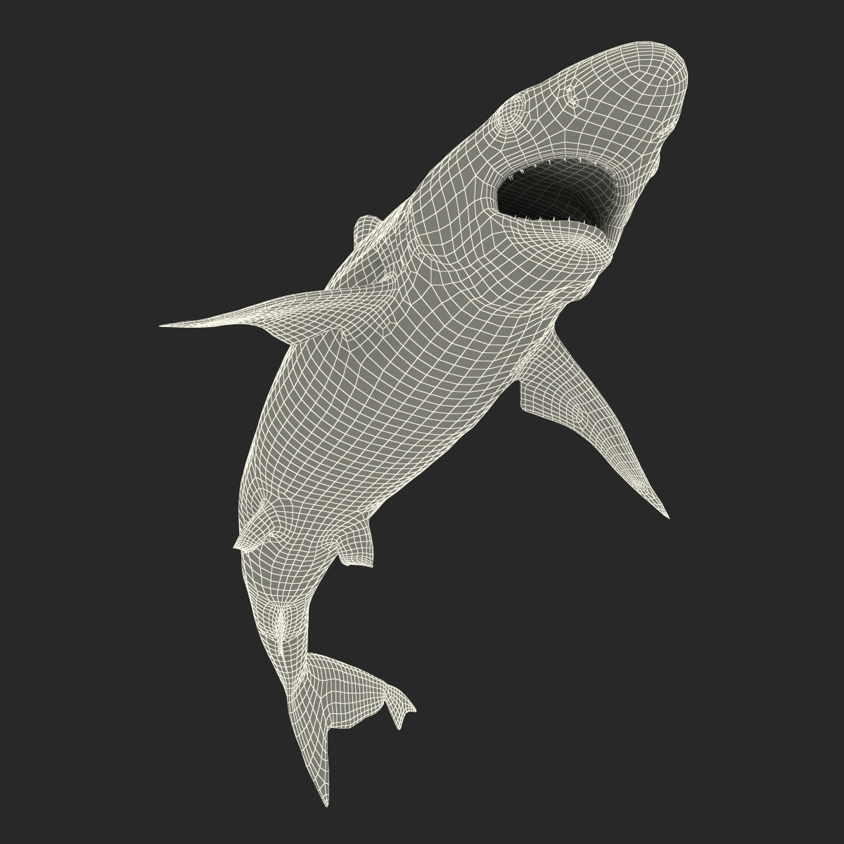 Milk Shark Rigged 3D