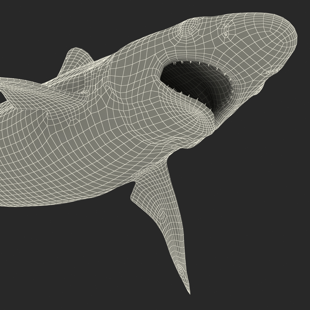 Milk Shark Rigged 3D