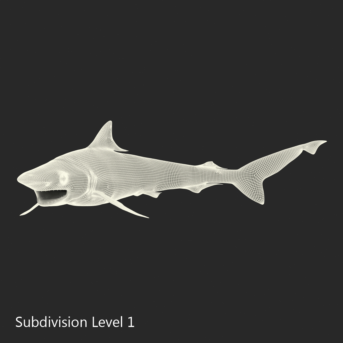 Milk Shark Pose 2 3D