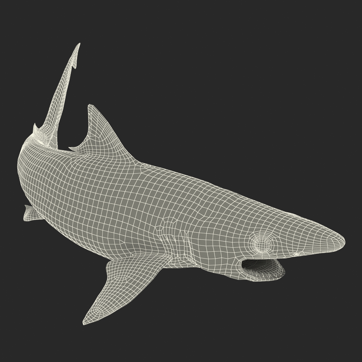 Milk Shark Pose 2 3D