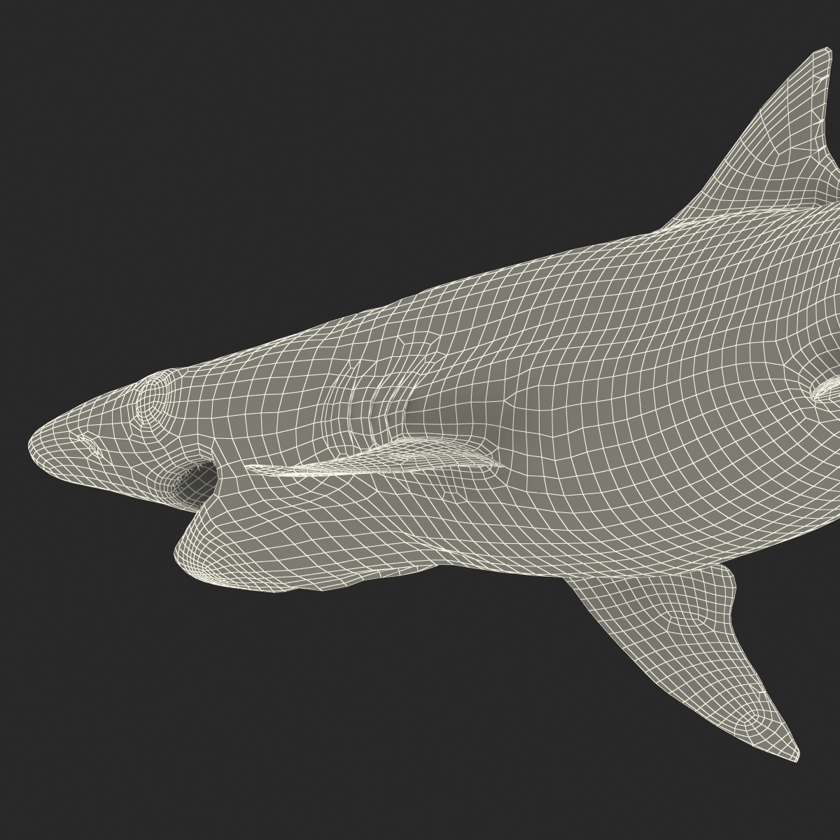 Milk Shark Pose 2 3D