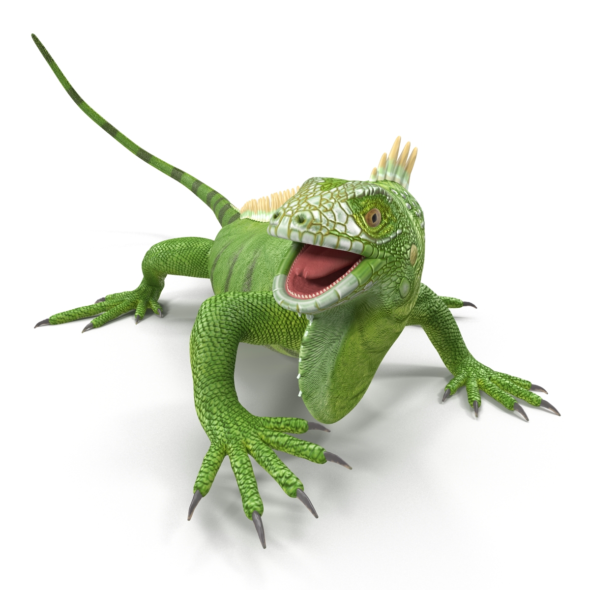 Green Iguana Rigged 3D model