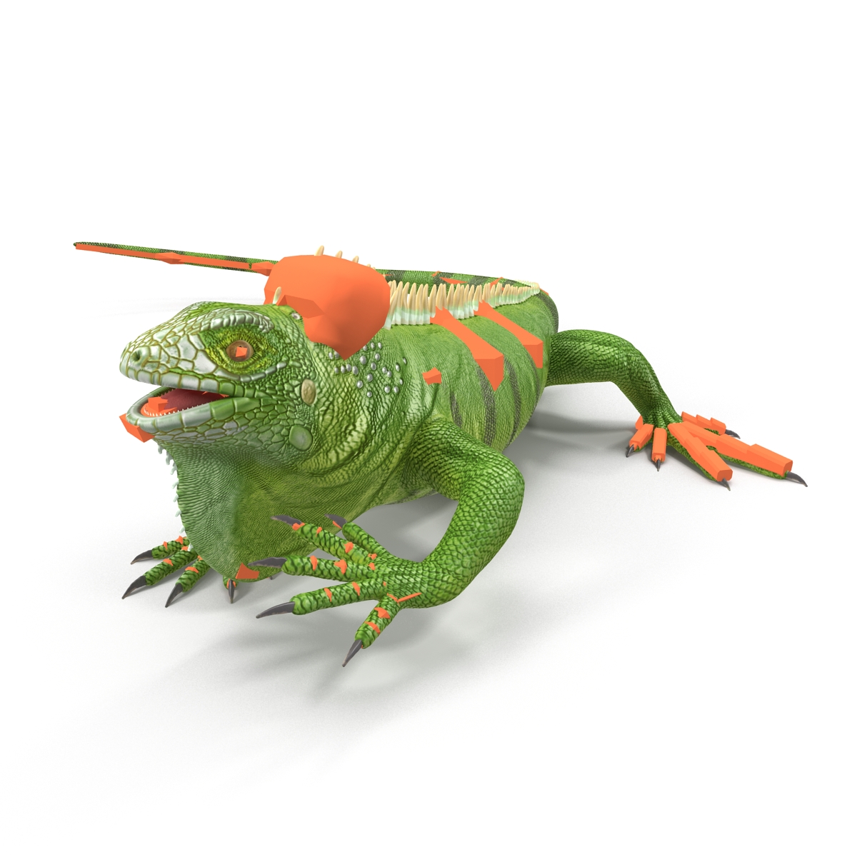 Green Iguana Rigged 3D model