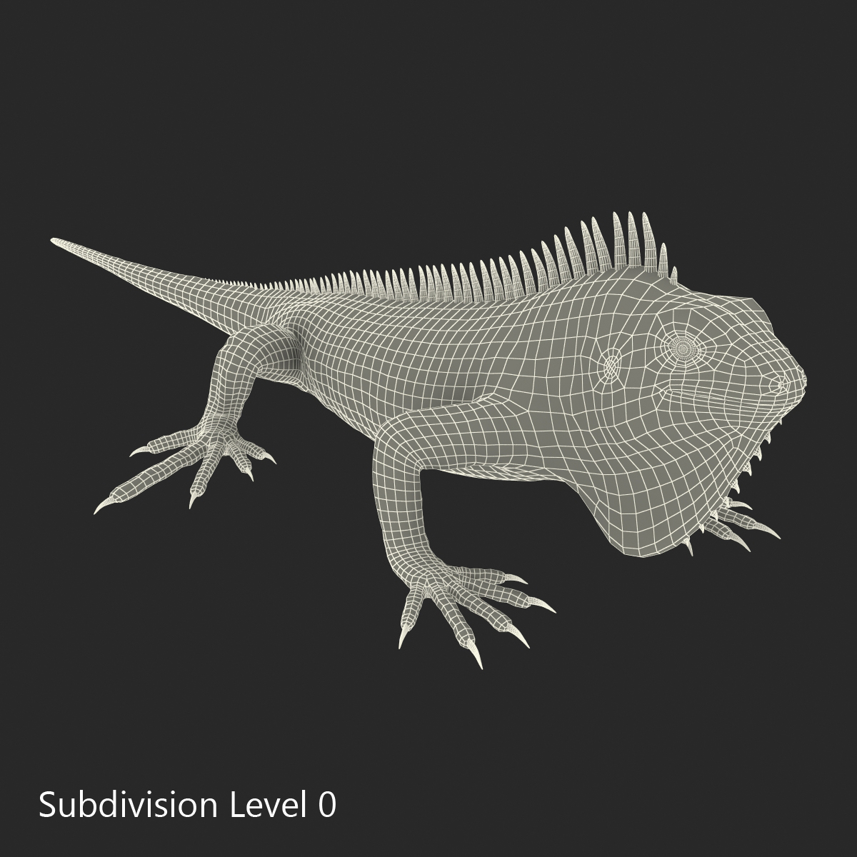 Green Iguana Rigged 3D model