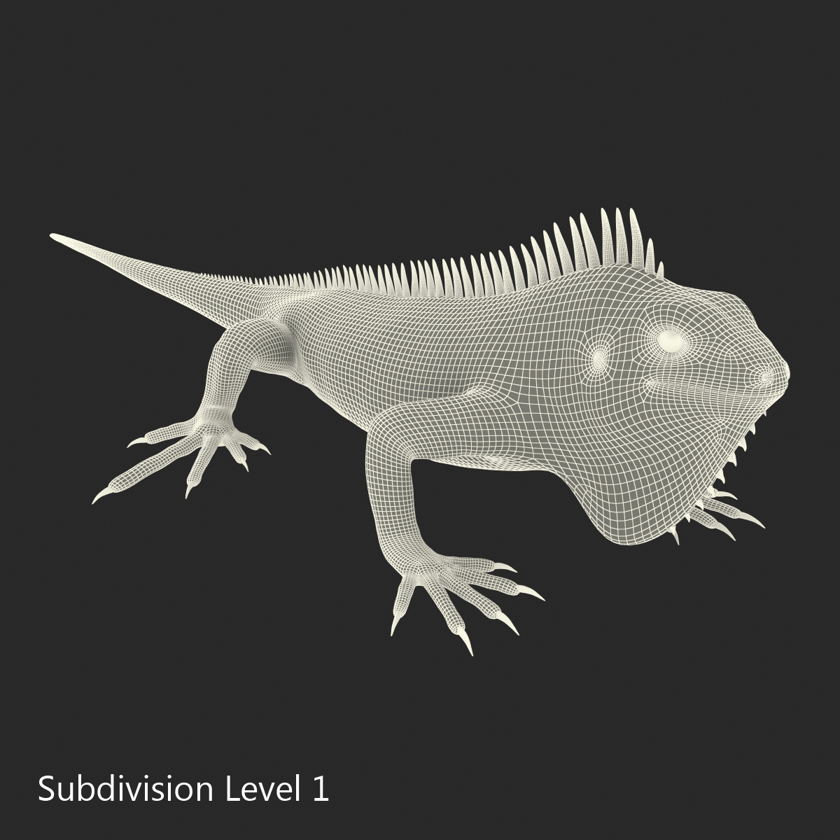 Green Iguana Rigged 3D model