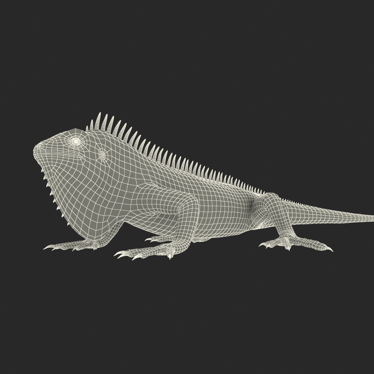 Green Iguana Rigged 3D model