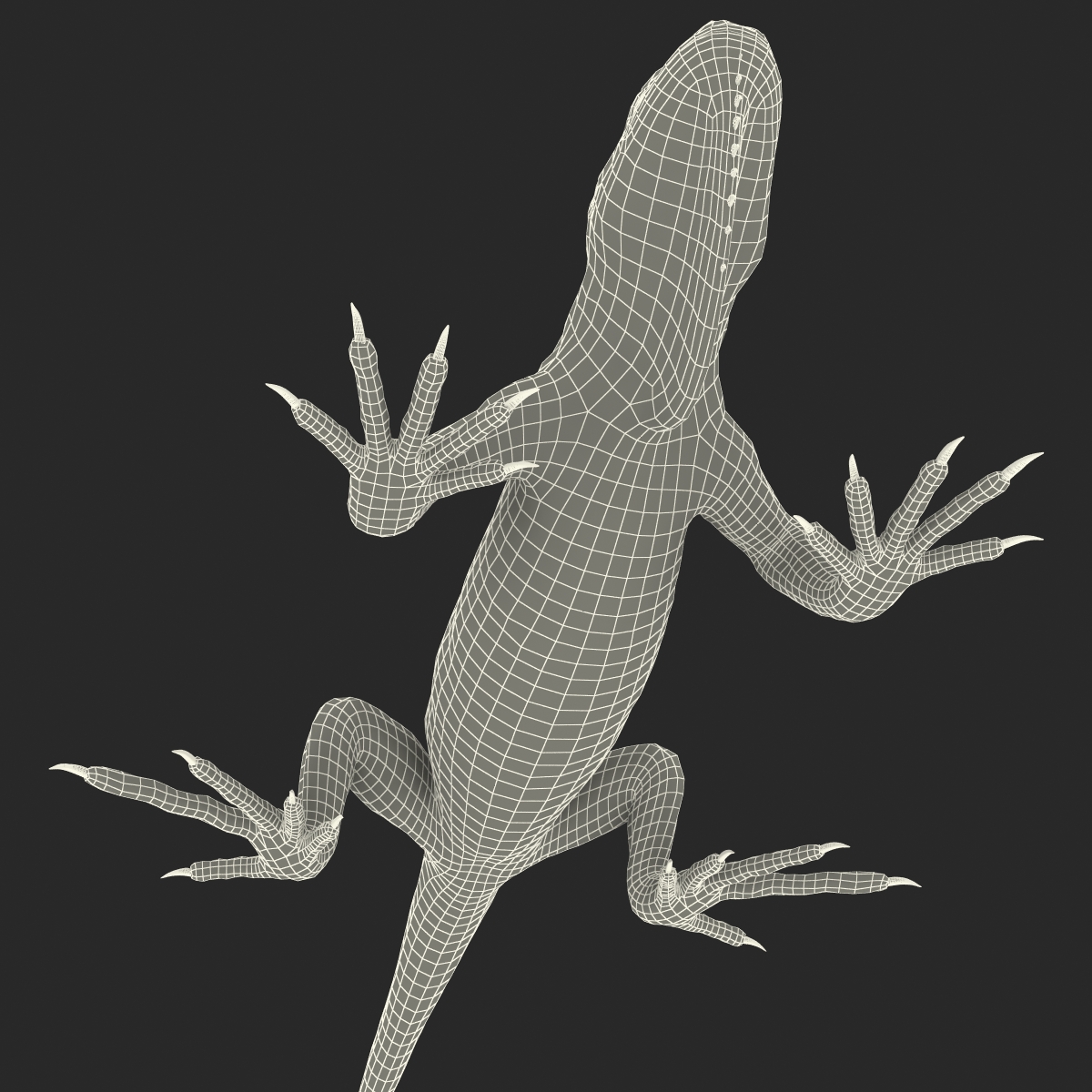 Green Iguana Rigged 3D model