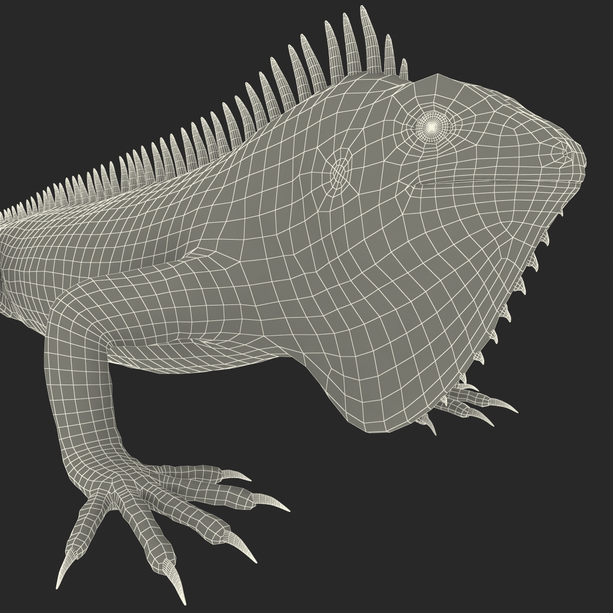 Green Iguana Rigged 3D model