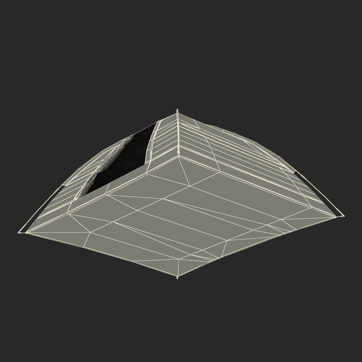 Dome Tent 3D model