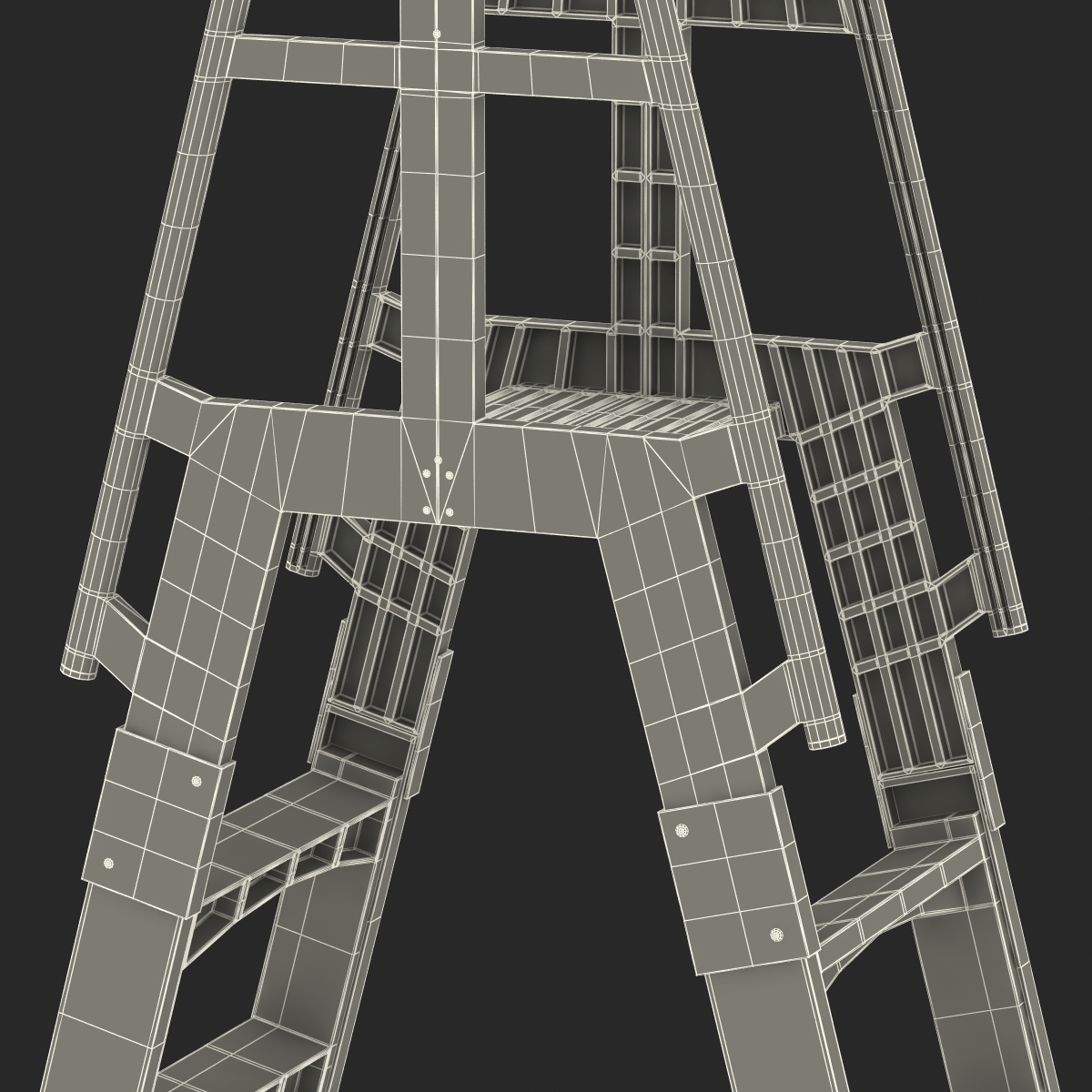 Double Sided Step Ladder 3D model