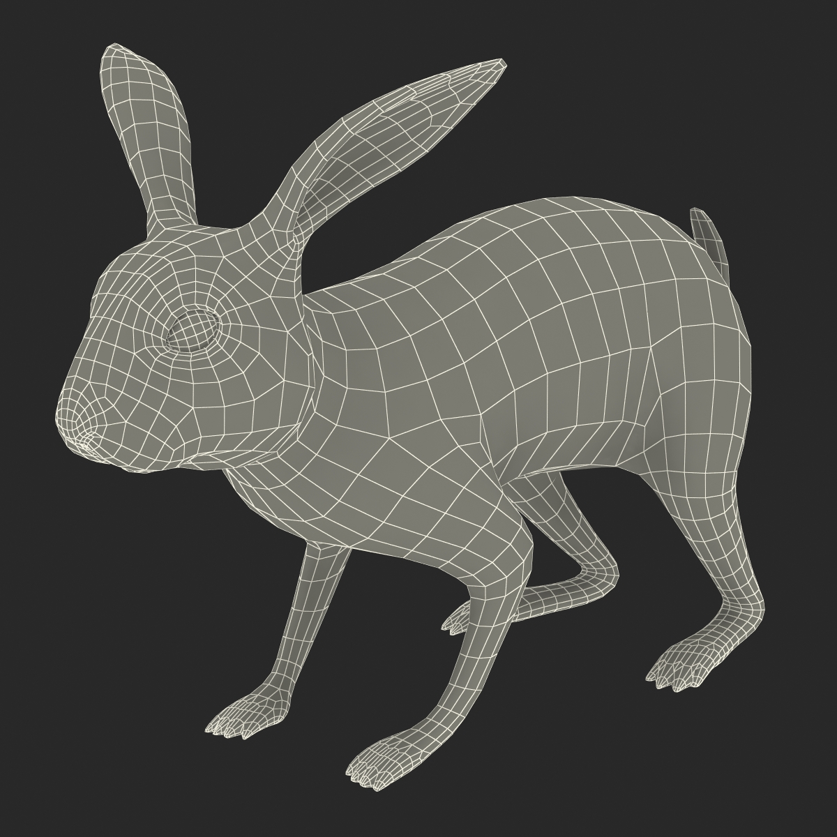 White Rabbit Rigged 3D model