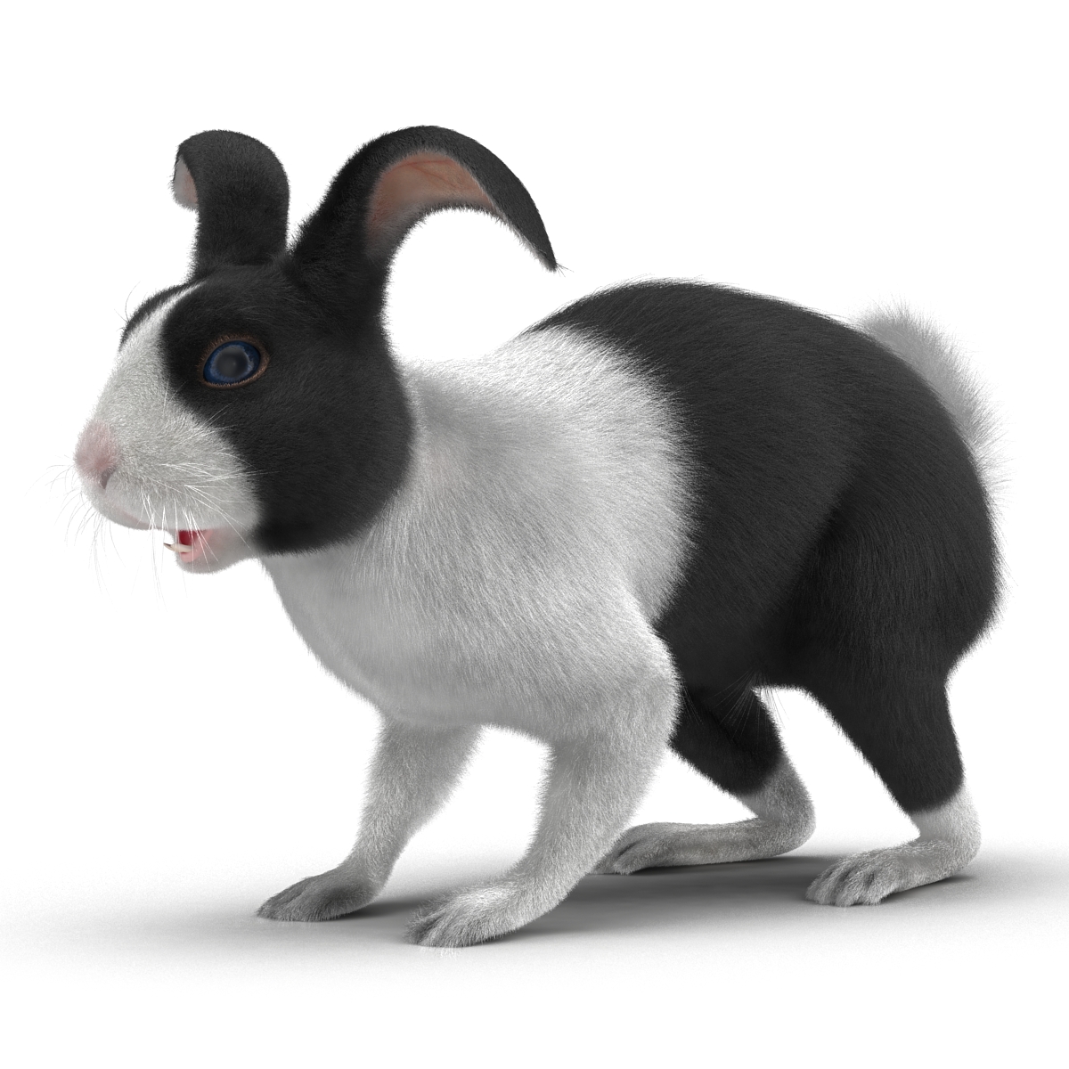 Black Rabbit Rigged 3D model