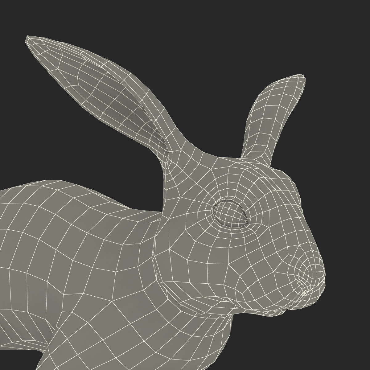 Black Rabbit Rigged 3D model