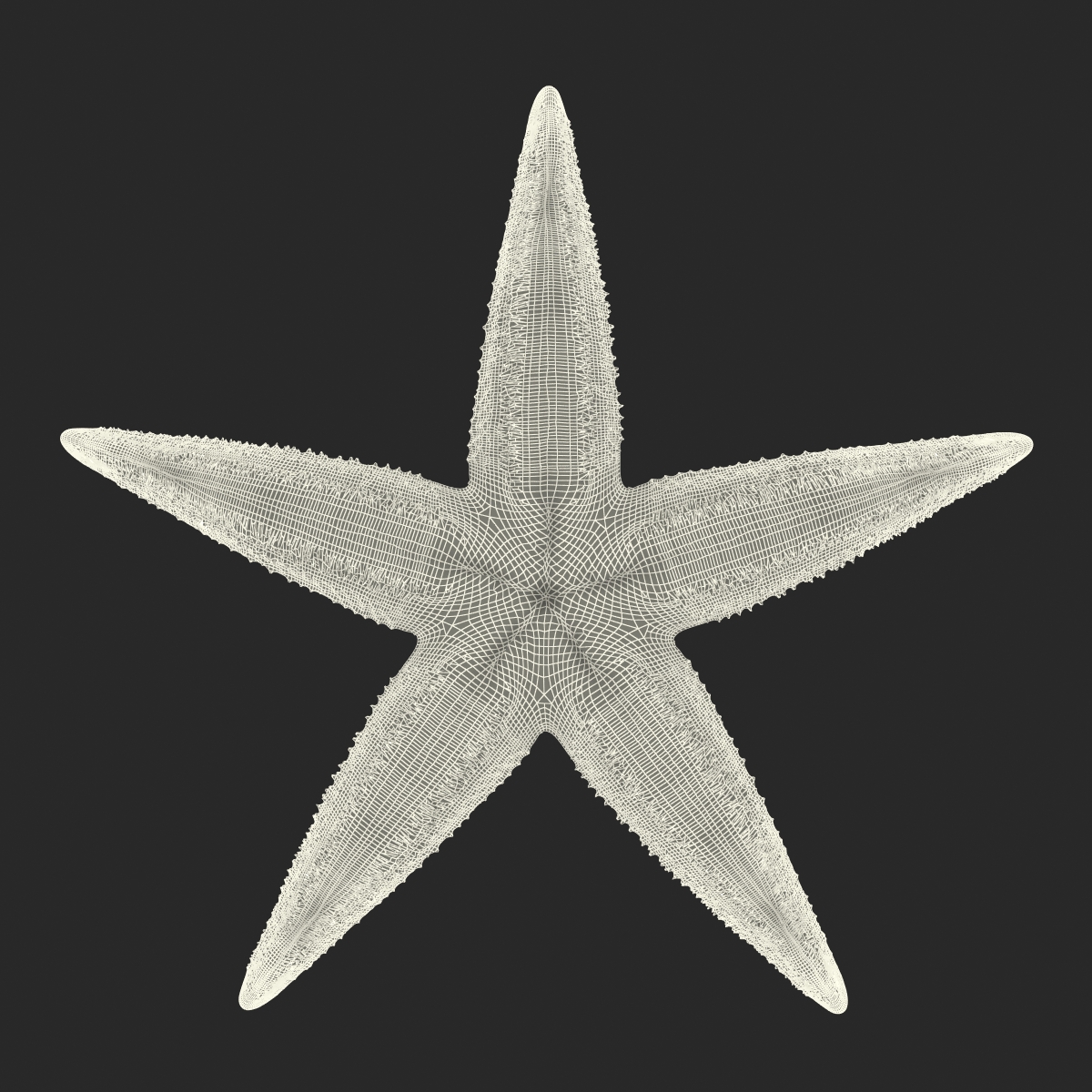 Starfish 2 Rigged 3D