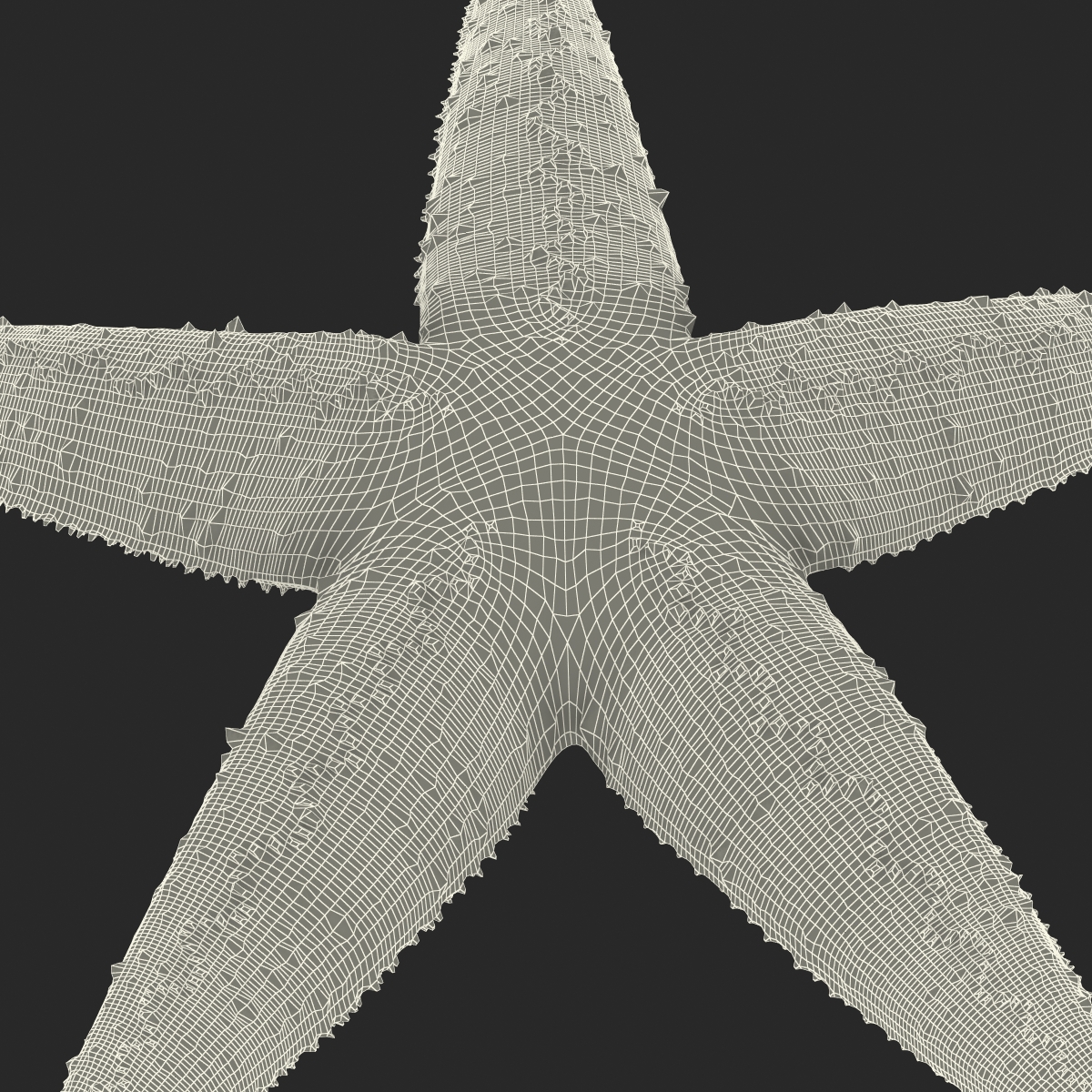 Starfish 2 Rigged 3D