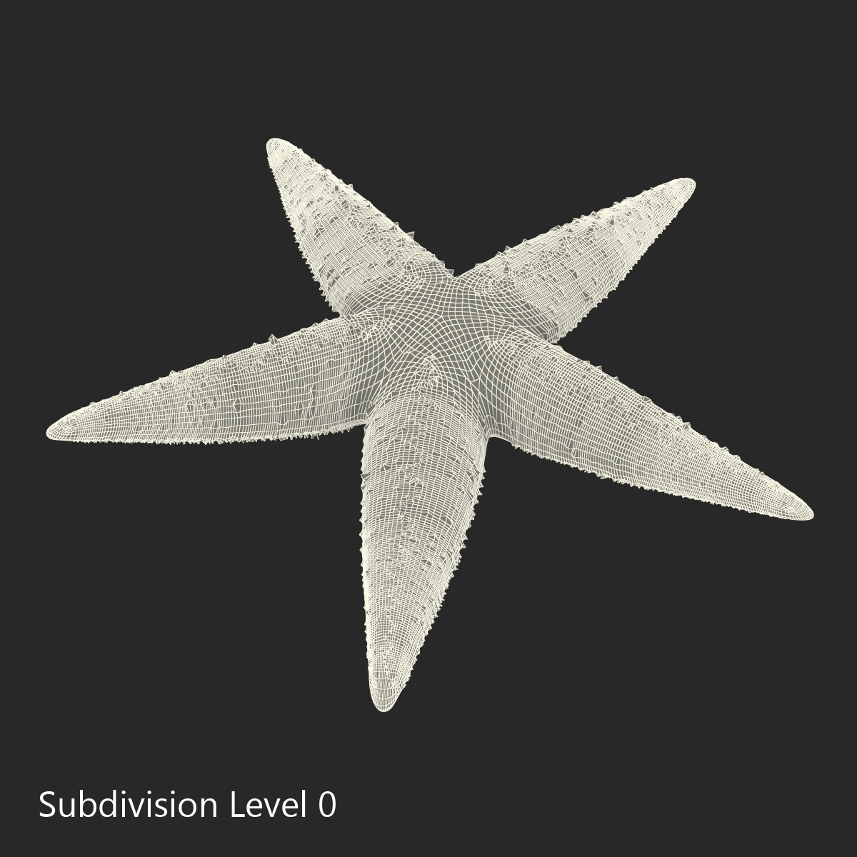 3D model Starfish 2