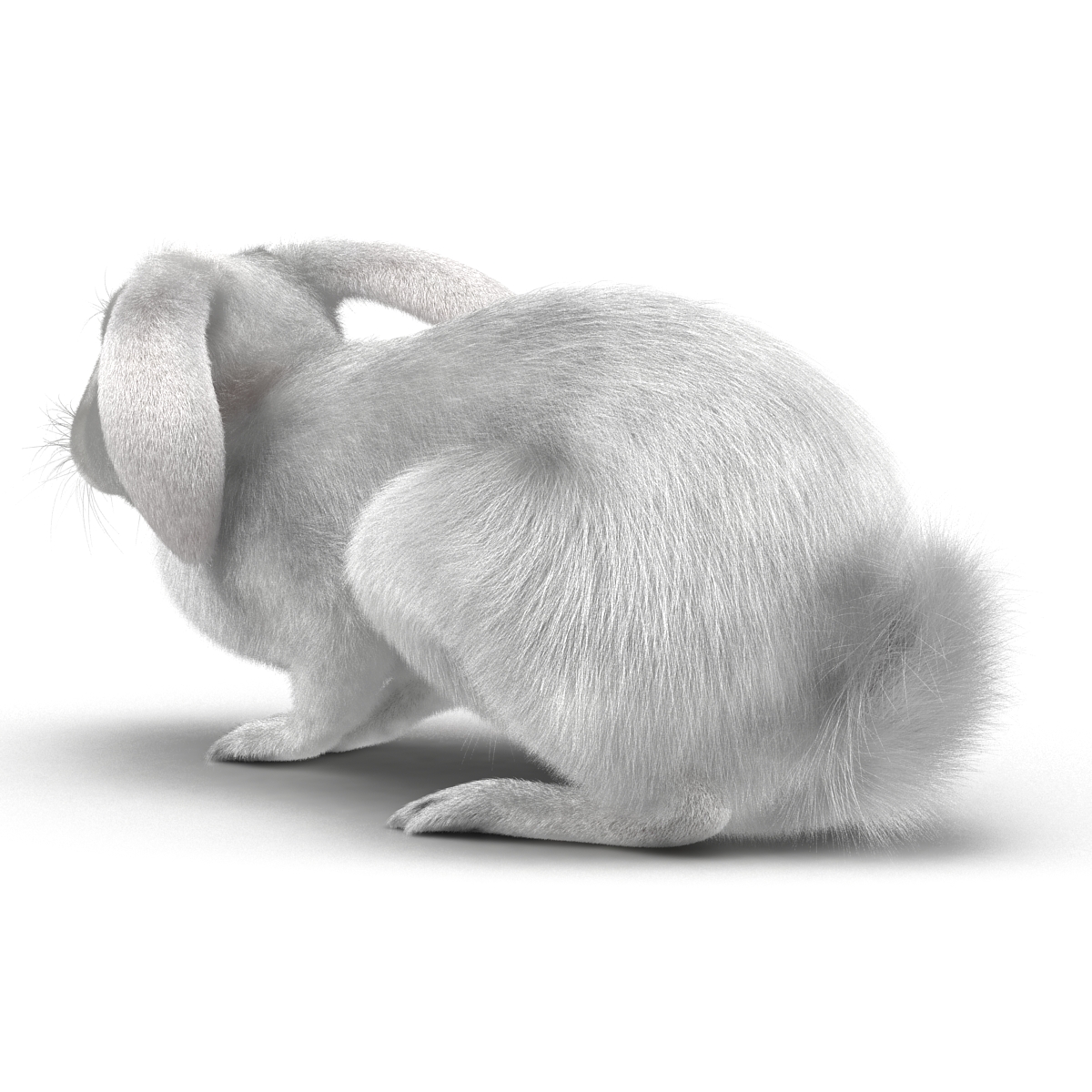 White Rabbit Pose 2 3D model