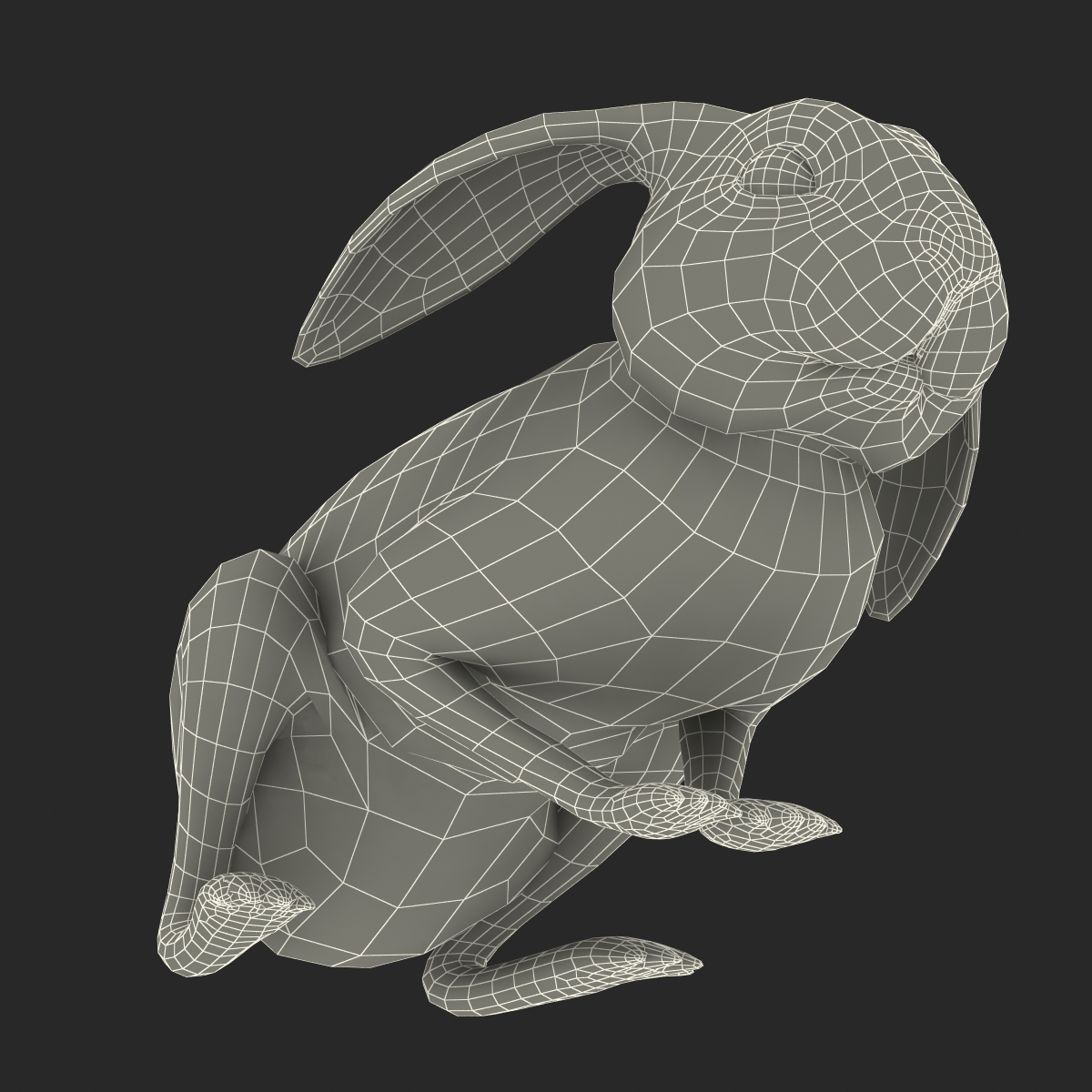 White Rabbit Pose 2 3D model