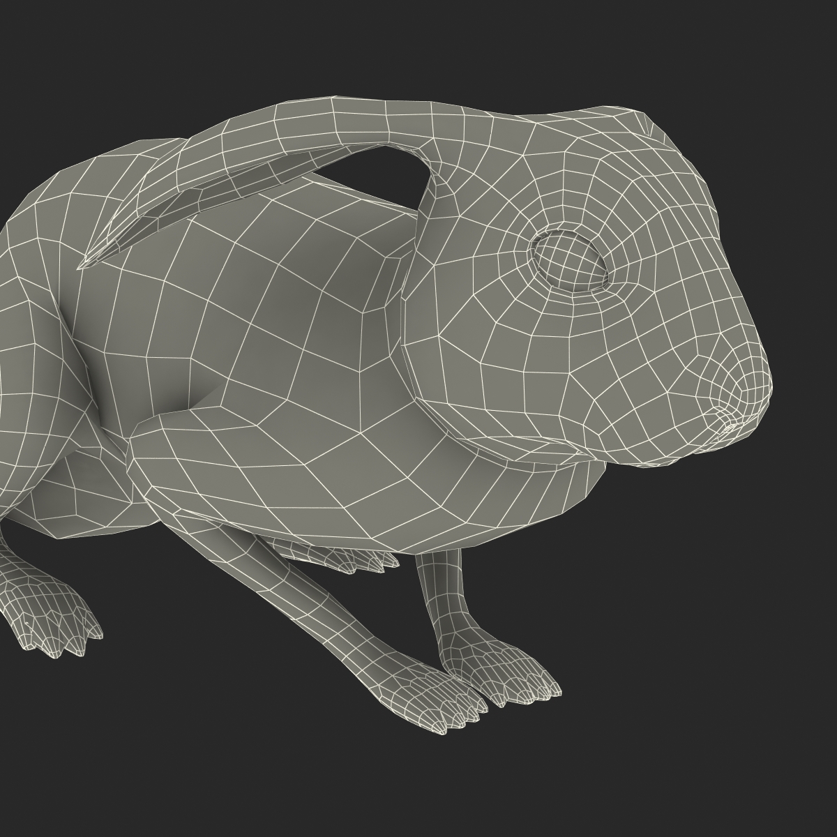 White Rabbit Pose 2 3D model