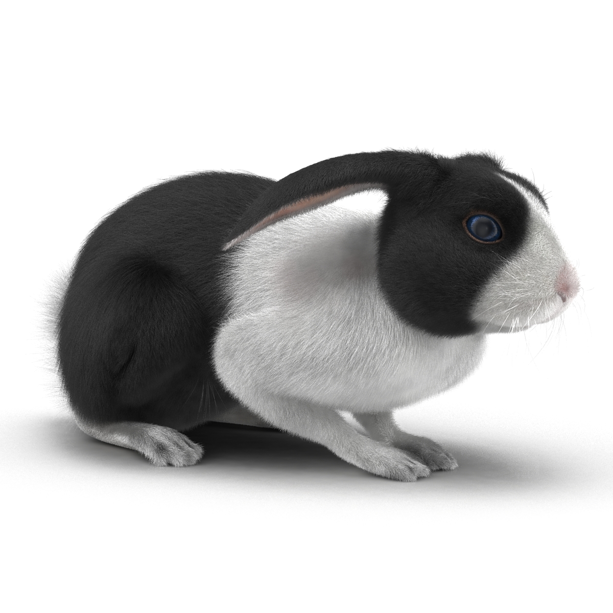 Black Rabbit Pose 2 3D model