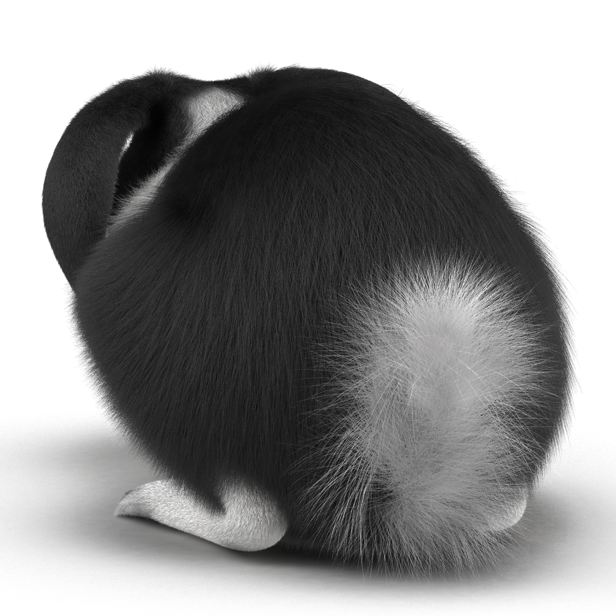 Black Rabbit Pose 2 3D model