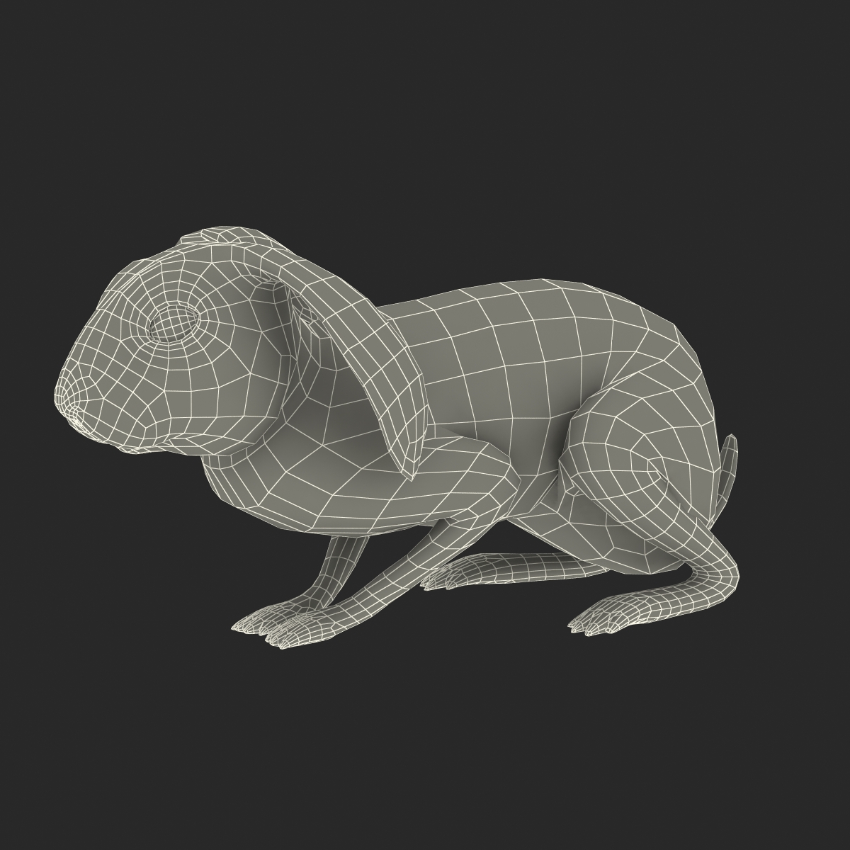 Black Rabbit Pose 2 3D model