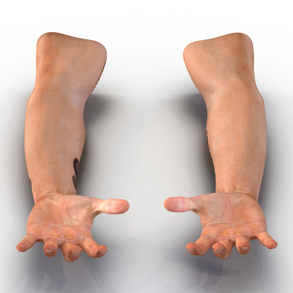 3D Biker Hands