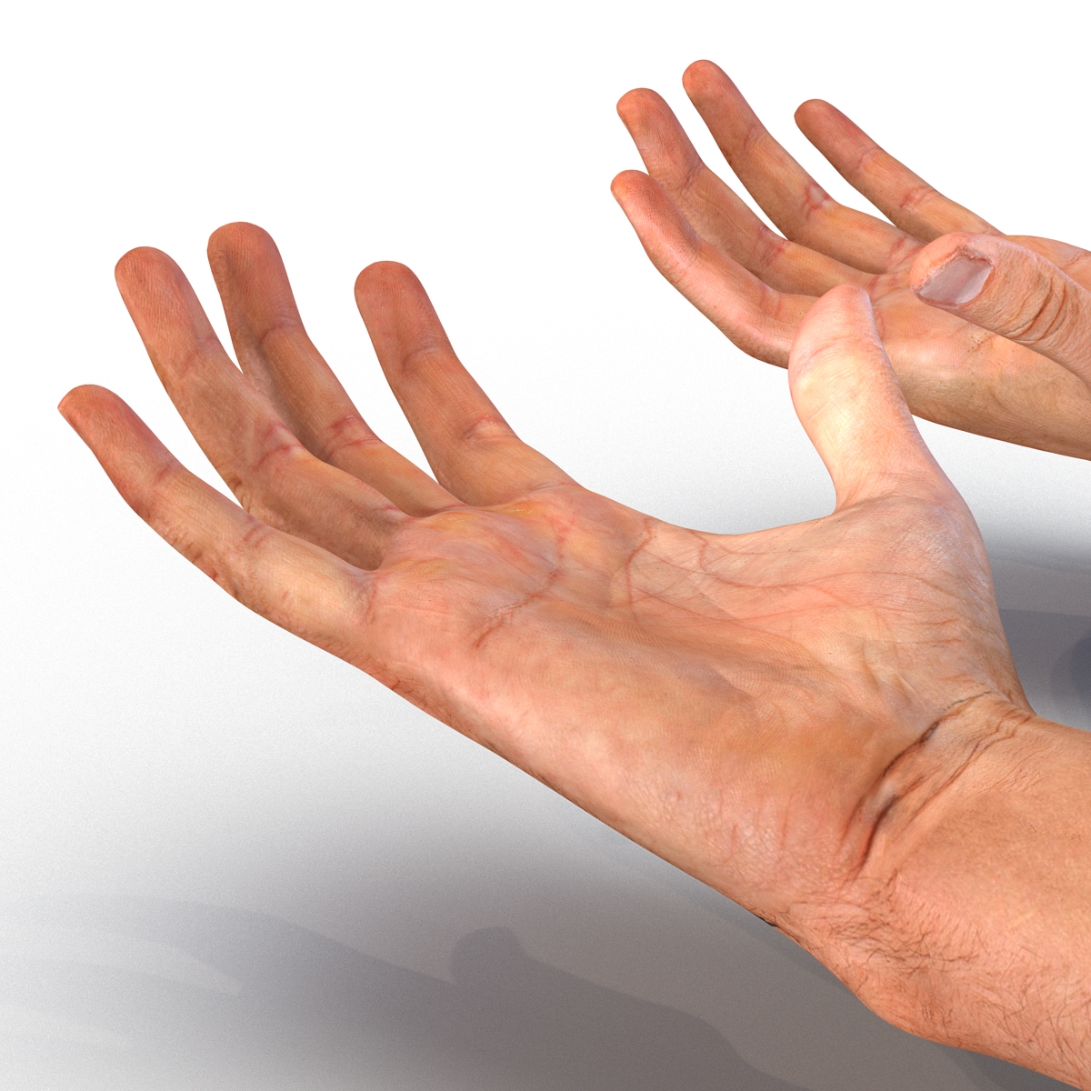 3D Biker Hands