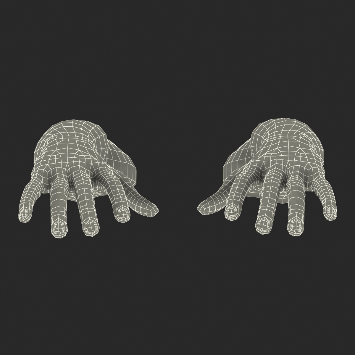 3D Biker Hands