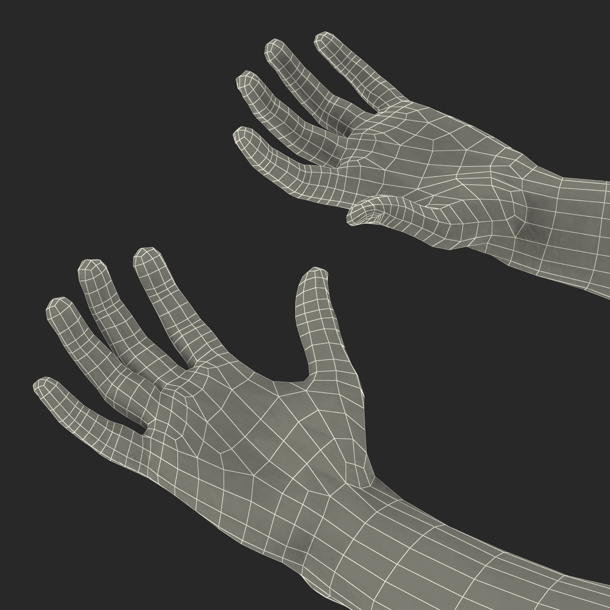 3D Biker Hands