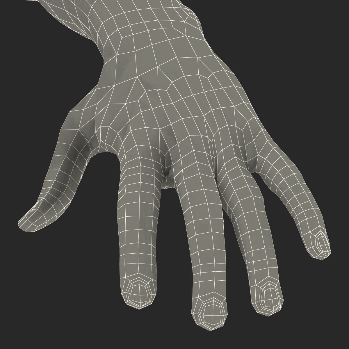 3D Biker Hands