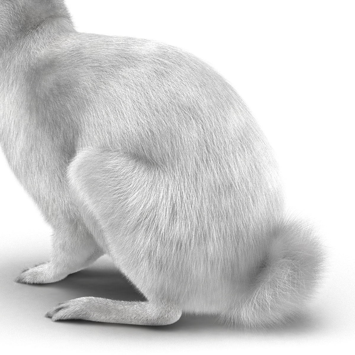 White Rabbit Pose 3 3D model