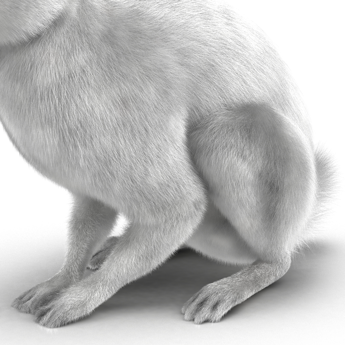 White Rabbit Pose 3 3D model