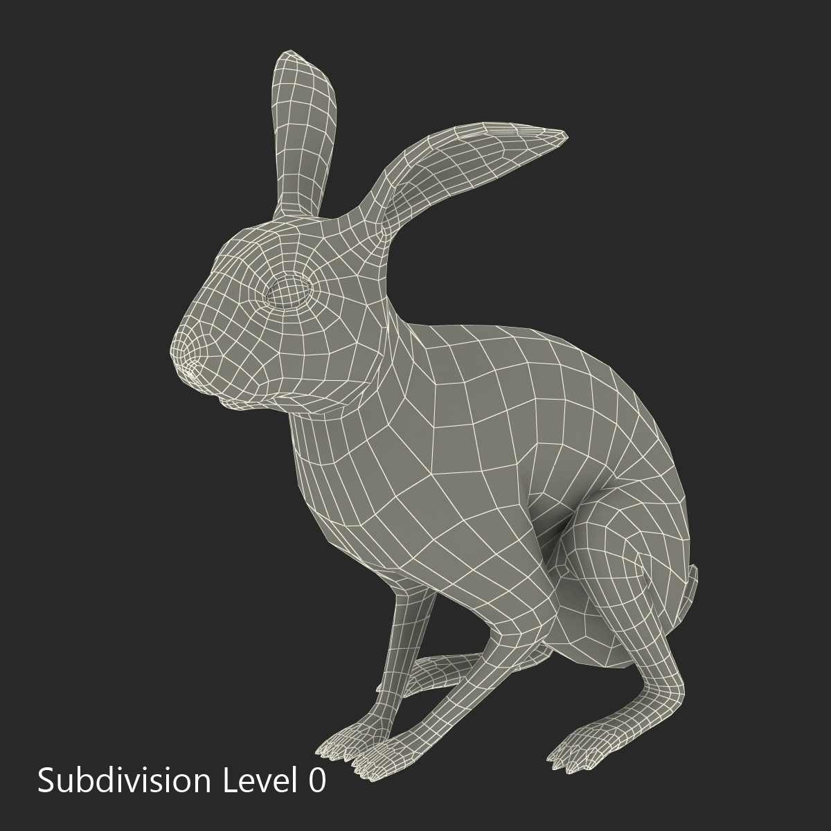 White Rabbit Pose 3 3D model