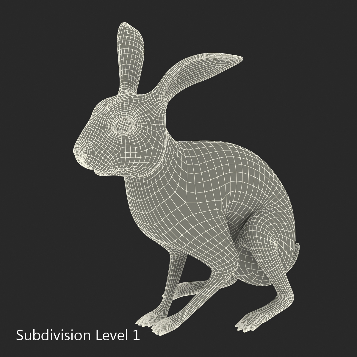 White Rabbit Pose 3 3D model